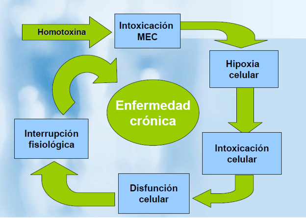 Medicina Biorreguladora de Sistemas MBRS