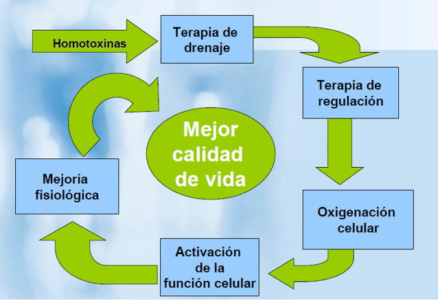 Medicina Biorreguladora de Sistemas